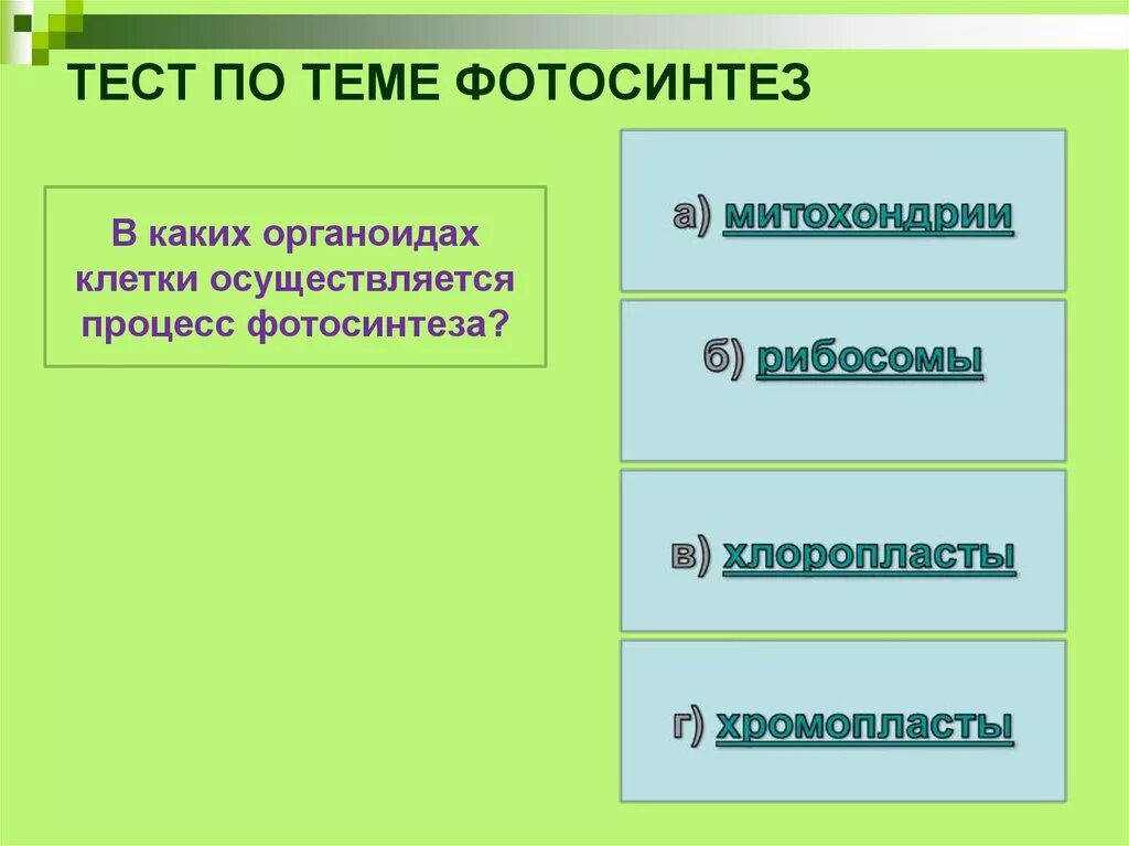 Тест по теме фотосинтез. Проверочная работа по теме фотосинтез. Тест по биологии фотосинтез. Тест на тему энергетической обмен фотосинтеза.