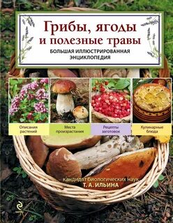 Книга растений грибы