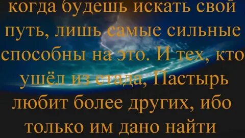 Другой ибо