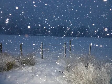 Many snow