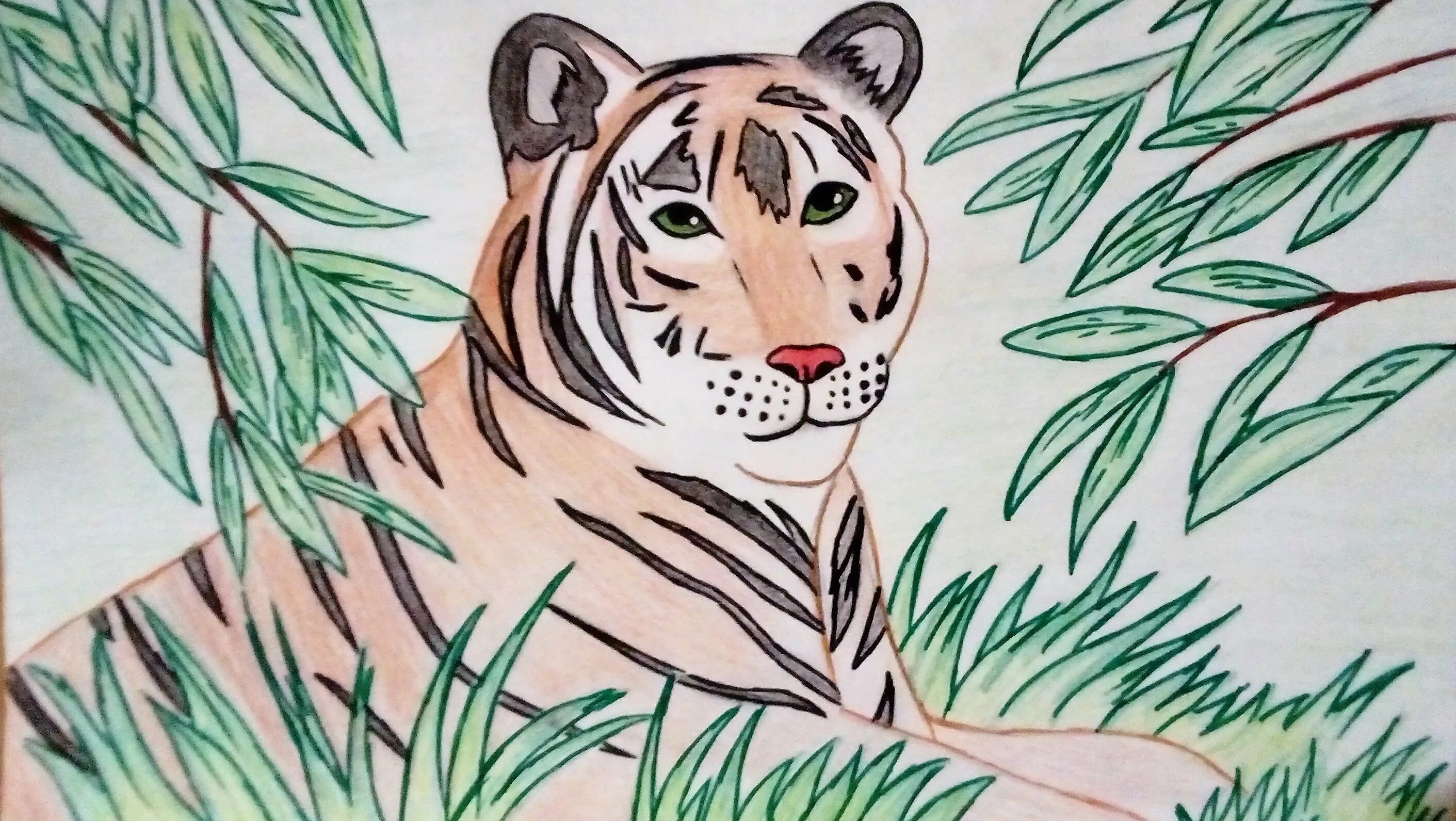 Тигр рисунок. Рисунки тигров для срисовки. Рисунок на тему тигр. Картинки тигра для срисовки. Животное рисунок 7 класс
