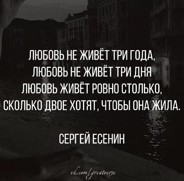 любовь живет ровно столько сколько. говорят любовь живет три. жить в любви. любовь живёт три года кто сказал. говорят любовь живет три.