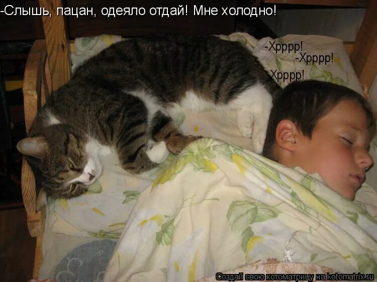 Слышь пацан или может не пацан подпишись не ленись на канал. Чикипибарум мем. Сломал мем. Слышь пацан. Слышь пацан.
