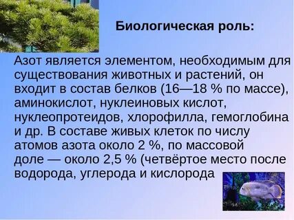 Химическая роль азота