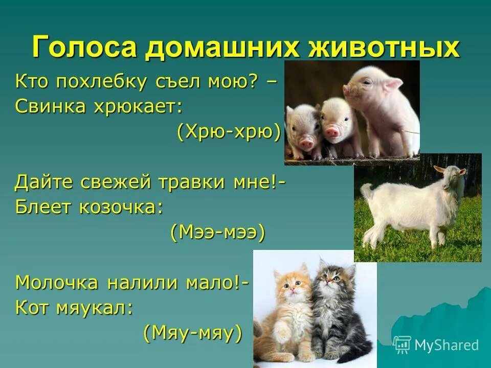 Презентация на тему домашние животные. Проект про домашних животных. Презентация про домашних животных. Сообщение о домашних животных.