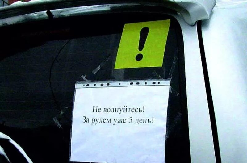 Смешные наклейки на авто для новичка. Первый день за рулем. Шутки про skoda. Удивленный корги. Первый день за рулем надпись.