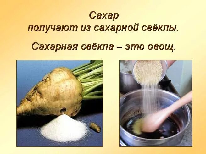 Из чего получают сахар. Сахар из сахарной свеклы. Сахар из свеклы. Сахарная свекла и сахар. Сахарная свекла для сахара.