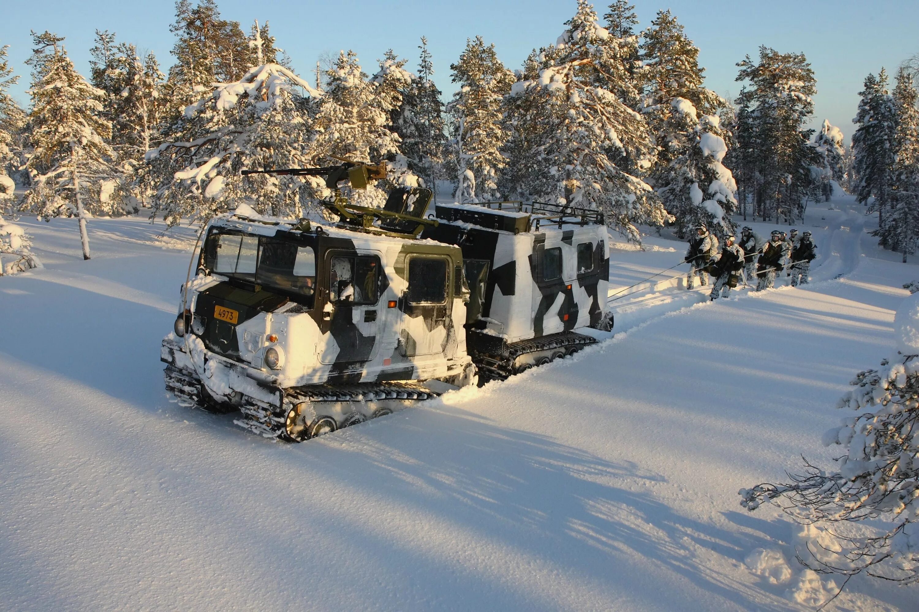 Вездеходов Bandvagn 206. Шведский армейский вездеход BV-206. Гусеничный вездеход Лось BV-206. Армейские н