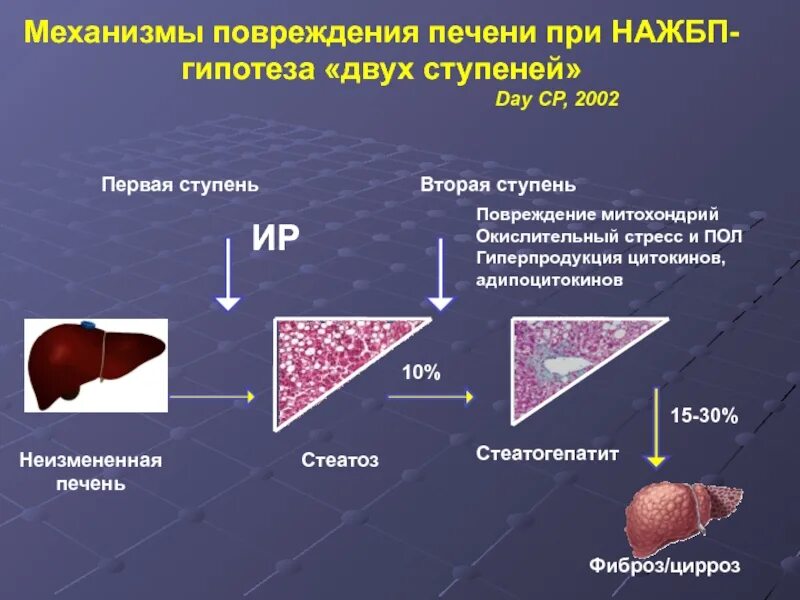 Диффузная печень форум. Фиброз гепатоз печени цирроз. Жировой гепатоз 1 стадии. Гистологические стадии фиброза печени. Степени поражения печени.