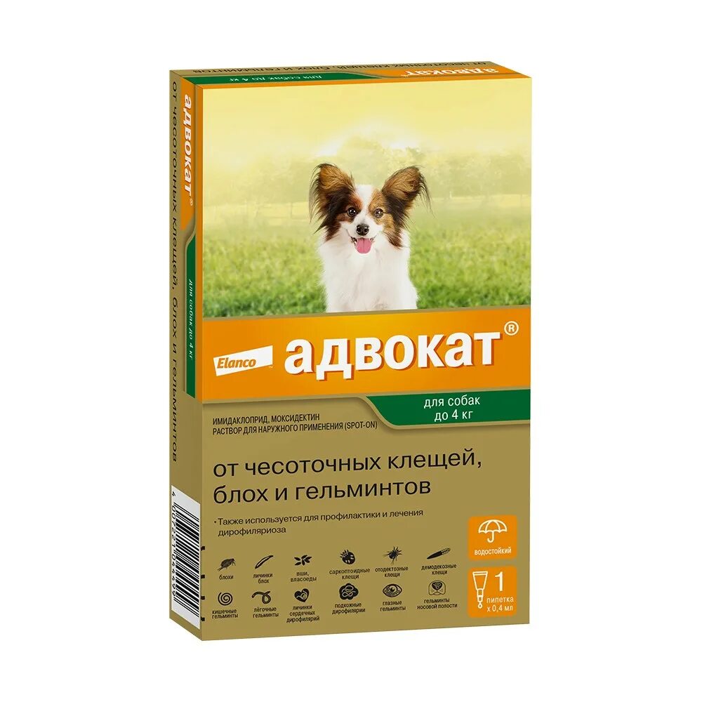 Как действуют капли от клещей для собак. Адвокат капли для собак до 4 кг. адвокат капли на холку для собак. капли адвокат для собак до 4 кг 3 пипетки. байер адвокат для собак.