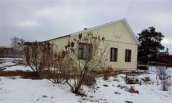 Дом в новом буяне