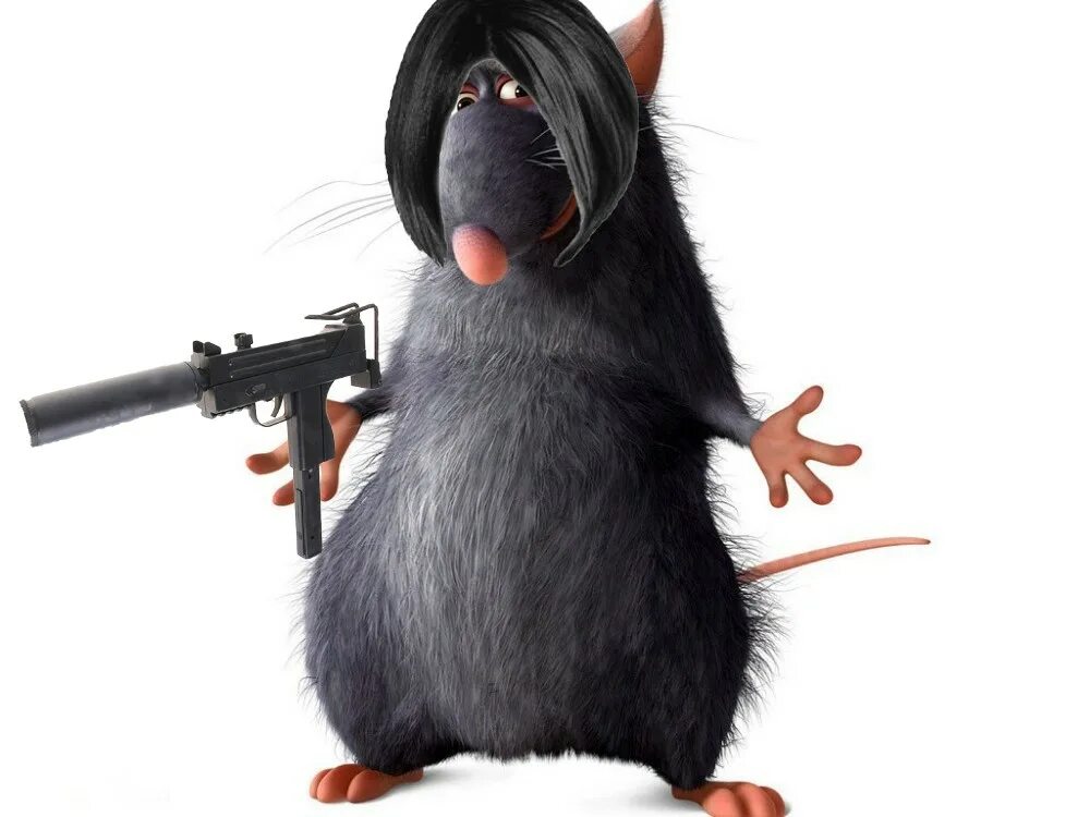 Rat meme