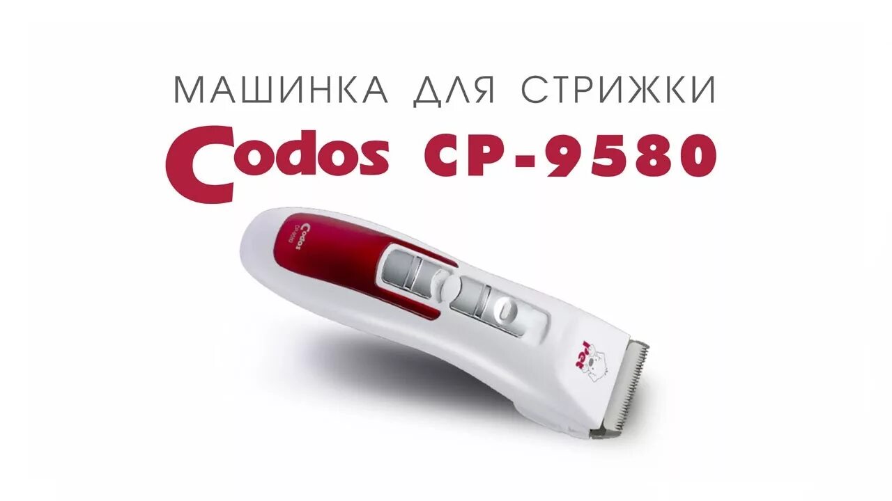 Машинка для шерсти собак. Машинка codos 9580. Машинка для стрижки codos CP-8000. Машинка для стрижки кошек codos. Машинка для стрижки Кодос ср 9500.