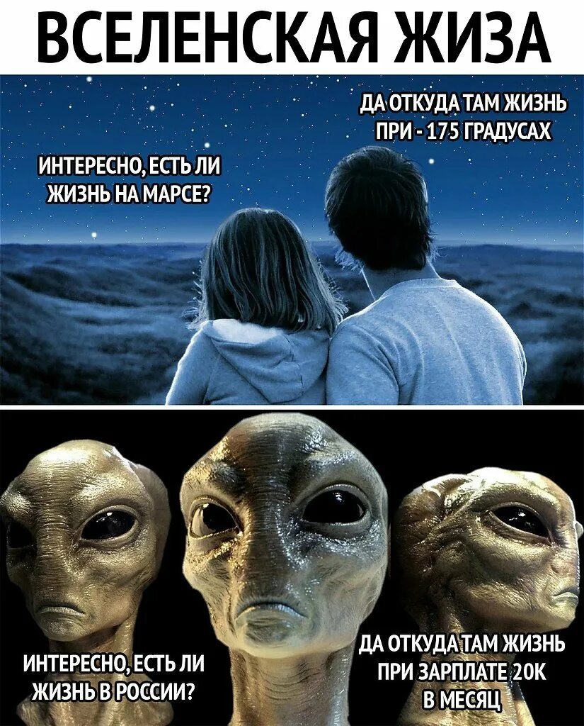 Конечна ли жизнь