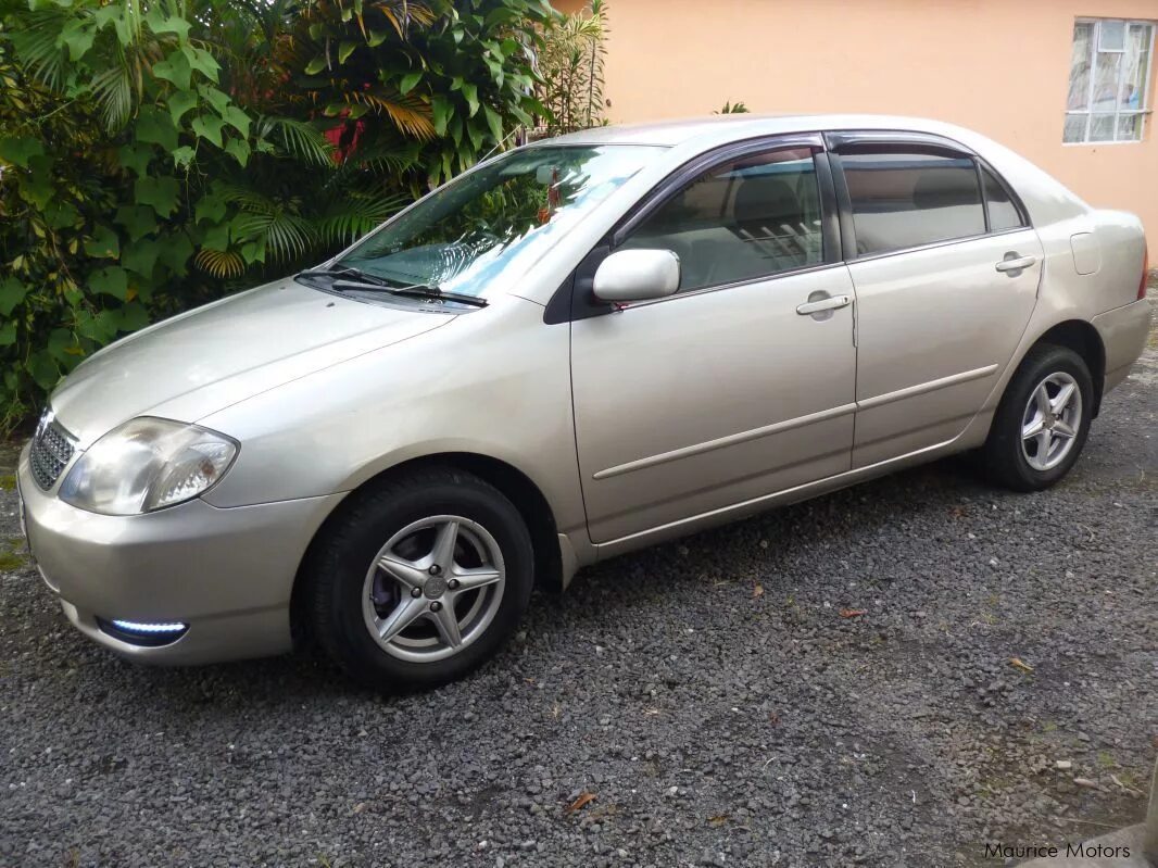 Купить королла 2001. Тойота Corolla 2001. Тойота Королла 2001. Тойота Королла 2001 года. Toyota Corolla 2001 седан.