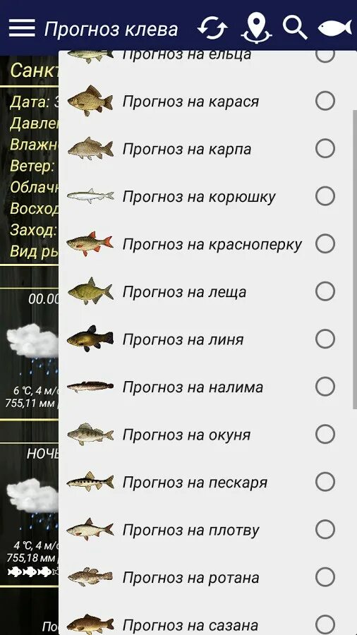 Прогноз рыбалки на сегодня