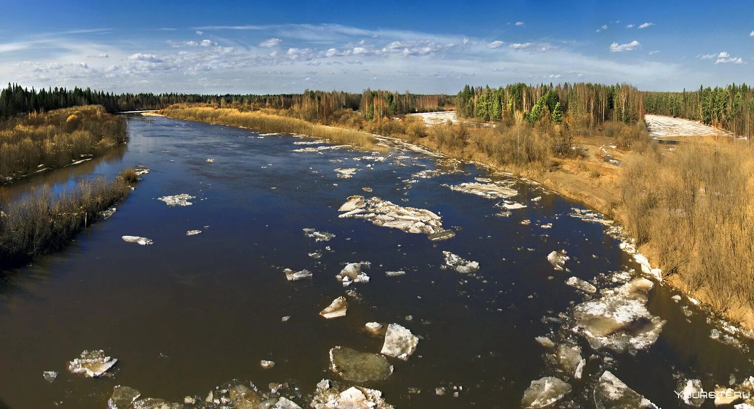 Уровень воды в ветлуге шарья на сегодня. Река Ветлуга Краснобаковский район. Река Ветлуга Шарья. Река Ветлуга Нижегородская область. Ледоход на реке Ветлуга.