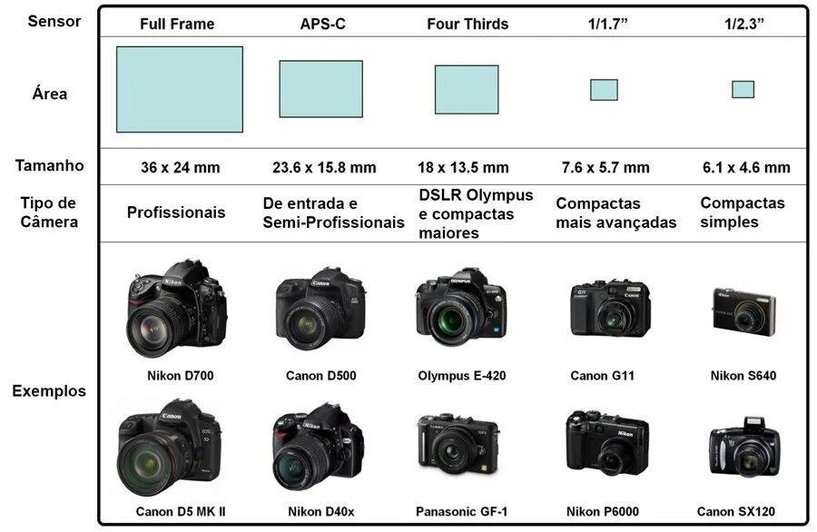 Кроп камеры Canon. Размер кроп матрицы 1.6. Кэнон с кроп матрицей 1,6. APS-C Canon размер матрицы.