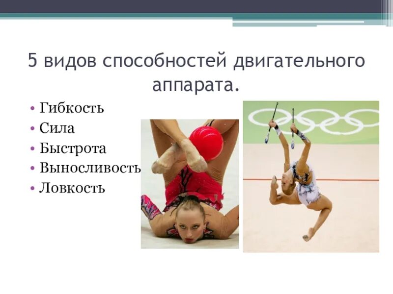 Сколько существует двигательных способностей