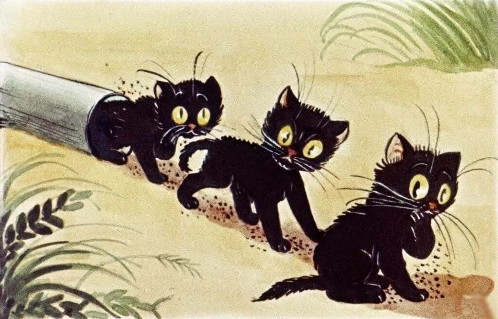 Сутеев в. "три котенка". Три котенка сказка Сутеев. Сказки Сутеева три котя. Сказка три кота Сутеев.