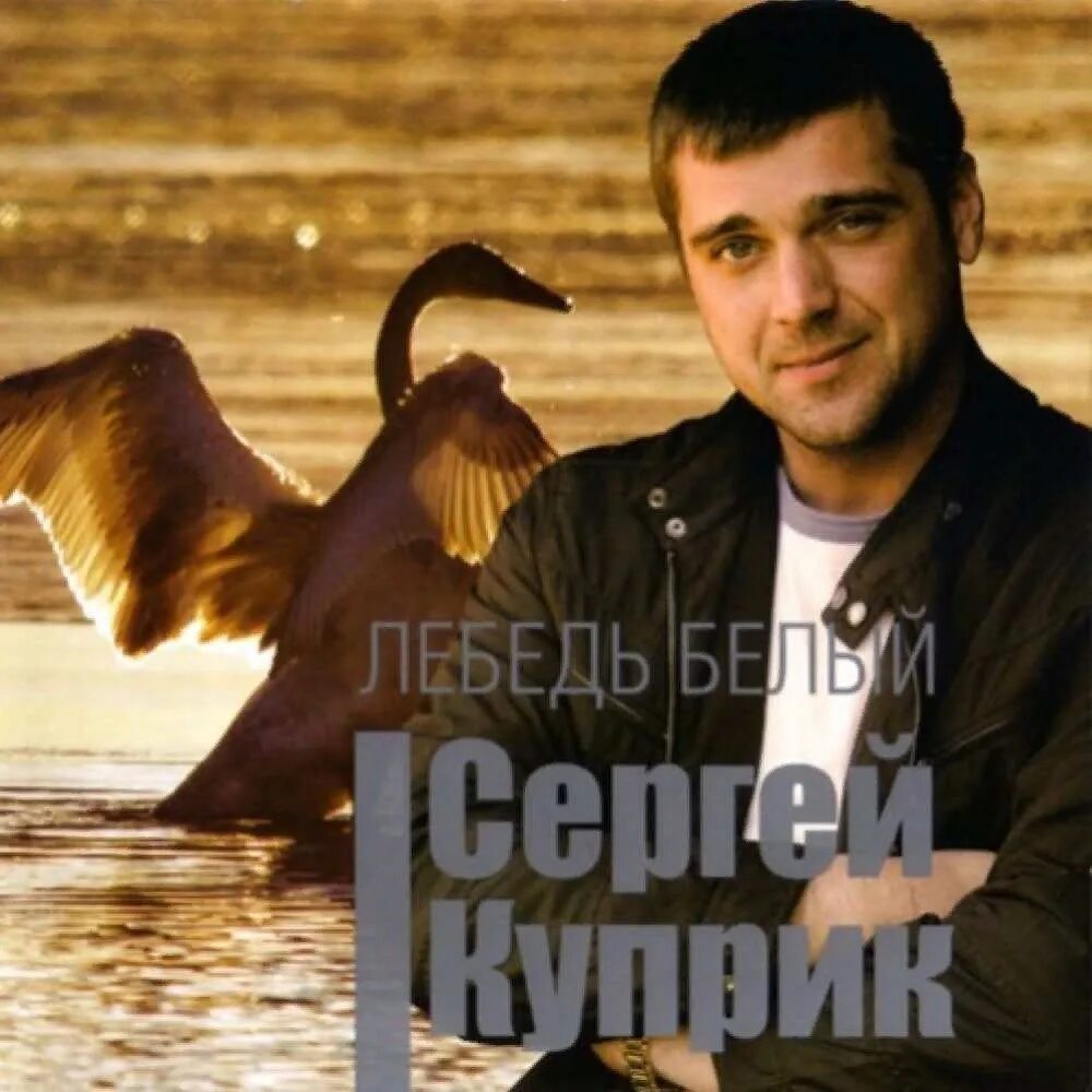 Сергей куприк белый лебедь. Лесоповал сергей куприк белый лебедь. Пейзаж лебеди на пруду. Белый лебедь на пруду лесоповал сергей куприк. Белый лебедь поза.