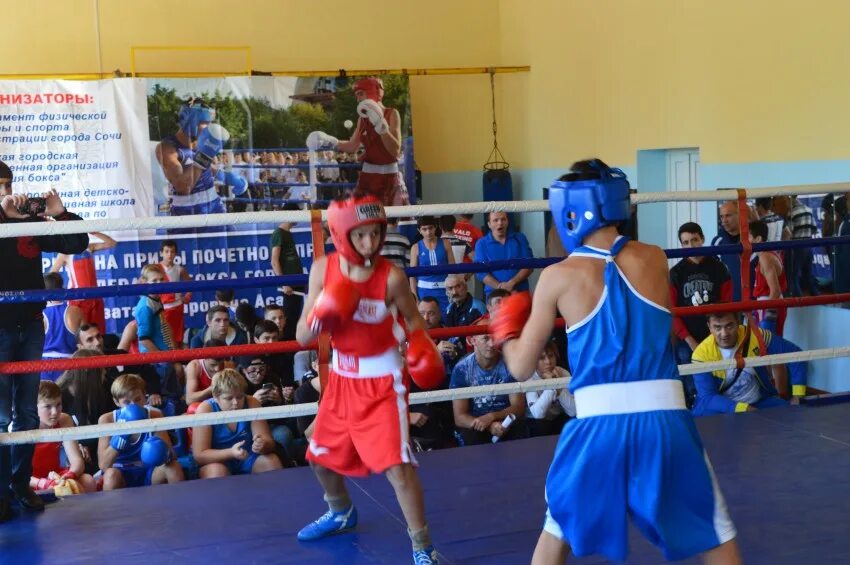 Ризван адалаев. Боксерские перчатки wesing. Федерация бокса тюмень. Федерация тайский бокс владикавказ. Секция бокса дагомыс.