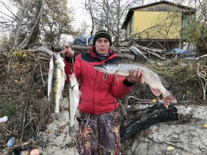 Гисметео донской волгоградская область