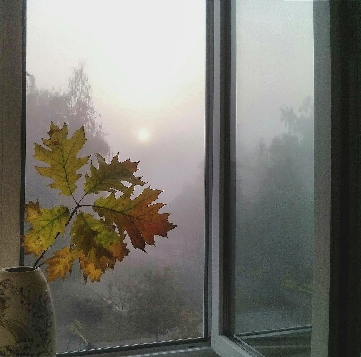 Листья на подоконнике. Окно осень. Осенний вид из окна. Осень за окном. Листья на окна.