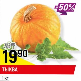 Верный тыква