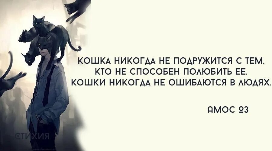 Ест и те кто способен. Кошки никогда не ошибаются в людях. кошка никогда не подружится с тем кто не способен полюбить ее. как сблизиться с человеком. как подружиться с человеком.