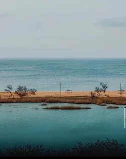 Полезная тамань