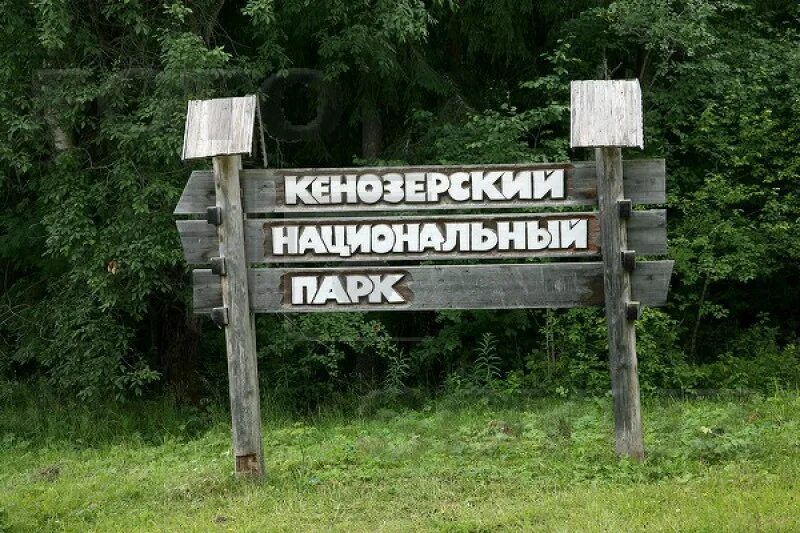 Кенозерский национальный парк вершинино. Водораздел кенозерский национальный парк. Кенозерском национальном парке. Кенозерский национальный парк архангельск. Кенозерский национальный парк архангельская область.
