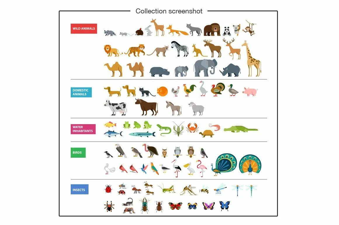 Pros cons of keeping wild animals. Flat животные. pets farm animals wild animals. sorting pets animals. farm animals insects.