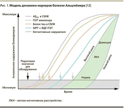 Стадии деменции. Биомаркеры болезни Альцгеймера в спинномозговой жидкости. Тест на деменцию у пожилых.