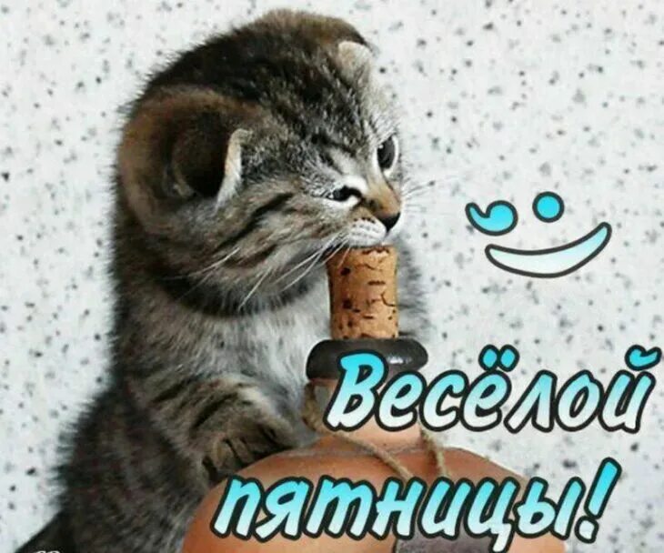 Пожелание доброго утра пятницы прикольные. Хорошей пятницы. доброе утро пятницы. веселые открытки с пятницей. с добрым утром пятницы прикольные.