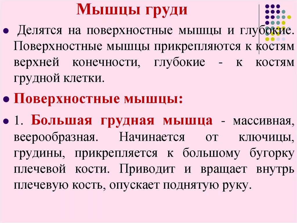 5 функций мышц. Функции мышц. мышцы грудины функции. главные функции мышц груди.