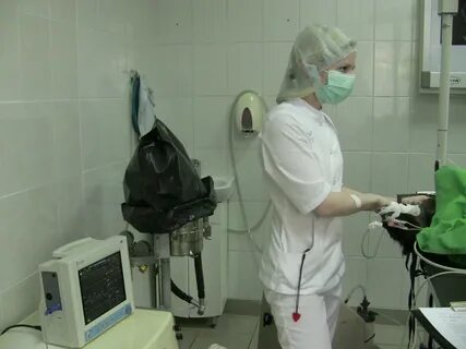Ветеринарная колибри долгопрудный