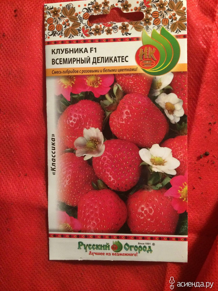 Земляника сорта семян. Семена клубники. семена земляники. клубника из семян. семена земляники и клубники.