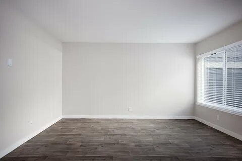Empty blank