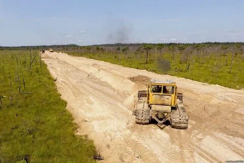 Строительство дорог болотах