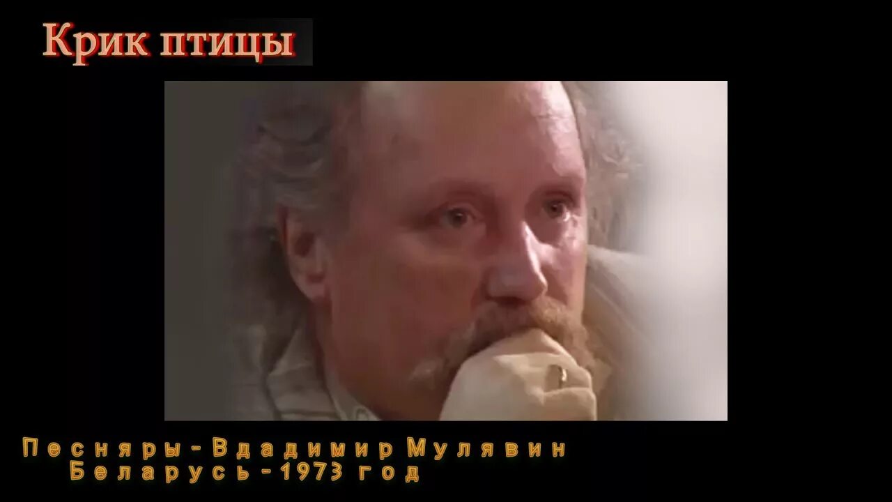 Крик птицы Песняры. Крик птицы Мулявин. Мулявин.