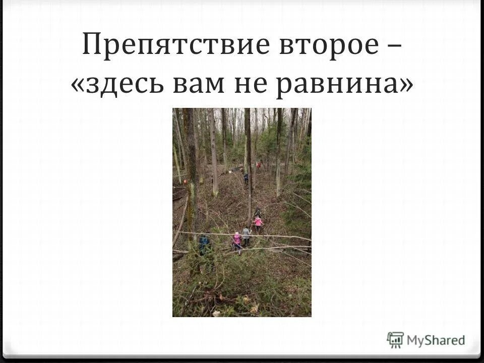 лесенка sklz. скоростные барьеры sklz 6x hurdles.