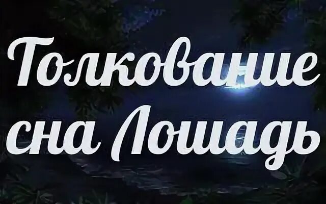 Толкование снов к чему снятся лошади. Сонник-толкование снов к чему снятся конь. Сонник к чему снится лошадь. Лошадь во сне к чему снится. К чему снится лошади во сне для женщины много.