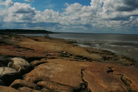 Белое море добыча