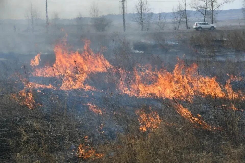 Забайкальский край лесные пожары сегодня. Горящий лес в забайкальском крае. Пожары забайкальского края. Лесные пожары. Первый лесной пожар.