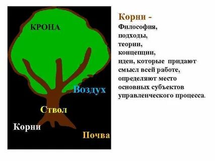Сильный корень слова