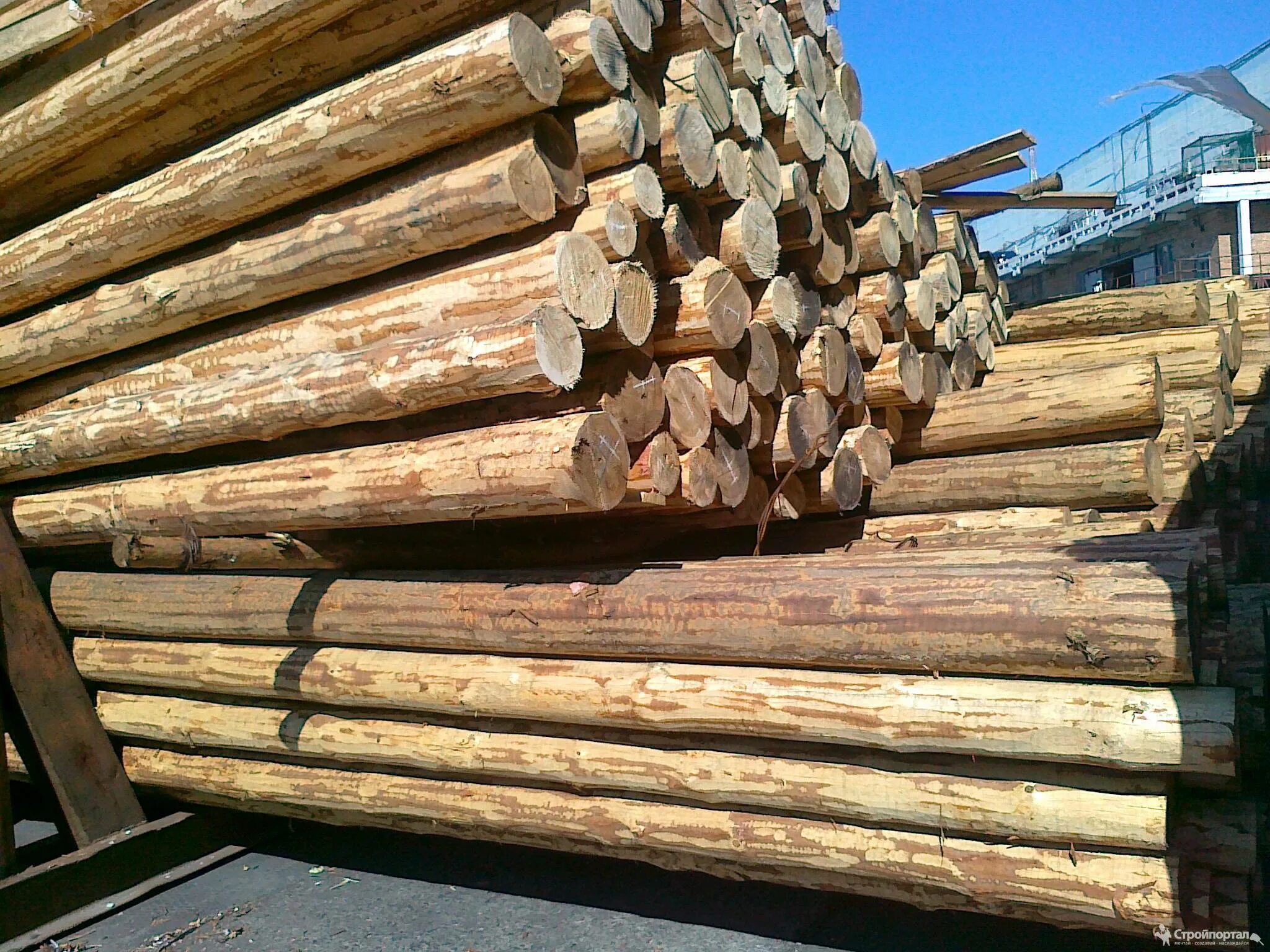 Деревянный столб. Деревянные опоры. Дубовый столб. Пропитанные деревянные столбы для ЛЭП.