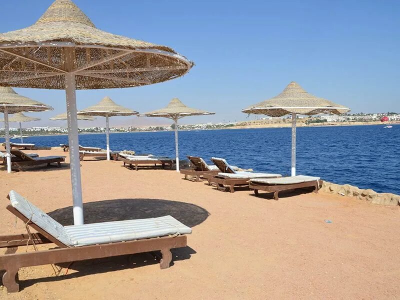 египет горящие туры из самары. путевки в египет из самары. отель grand halomy resort naama bay 3. египет continental хургада. египет гифтун азур.
