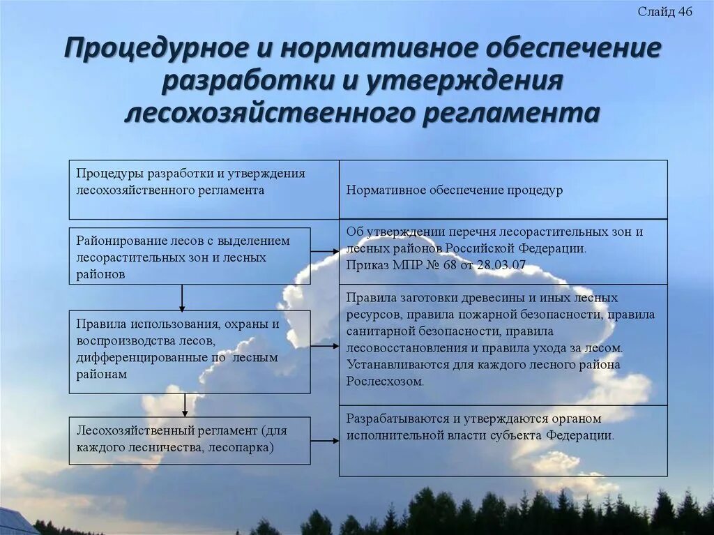 Официальное утверждение изменений. Разработчик лесохозяйственного регламента. Лесохозяйственный регламент. Проект освоения лесов. Разработка проектов освоения лесов.