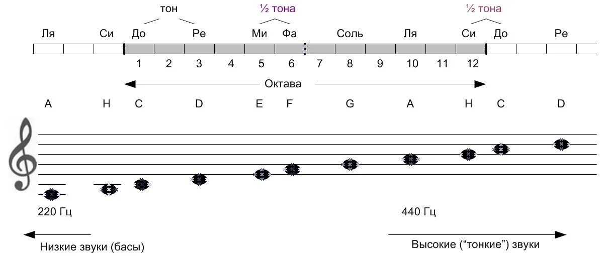 Нотные октавы для гитары. Ноты на октаве гитара для начинающих. Расположение нот на гитаре. Диапазон гитары. Звуки 6 струнной гитары